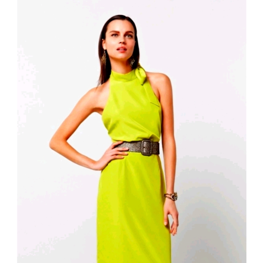 NWT Chris Benz Palm Canyon dress
